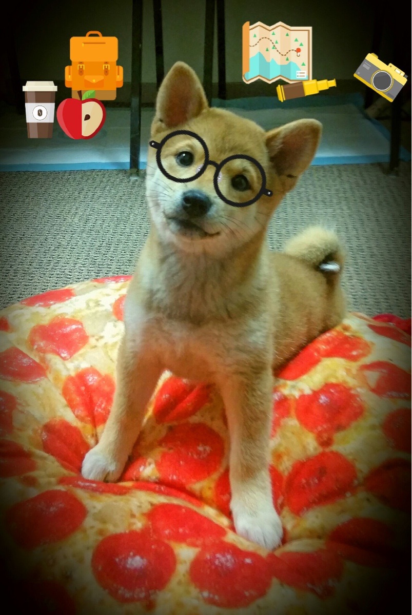 唯一性革命，皮亚斯特里绝境狙击，索伯如何用0.2秒颠覆红牛王朝？