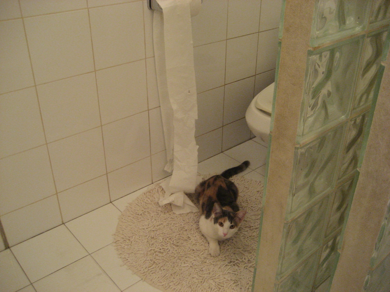 文化跨越的篮球诗篇，当希腊怪兽在东方赛场书写现代神话