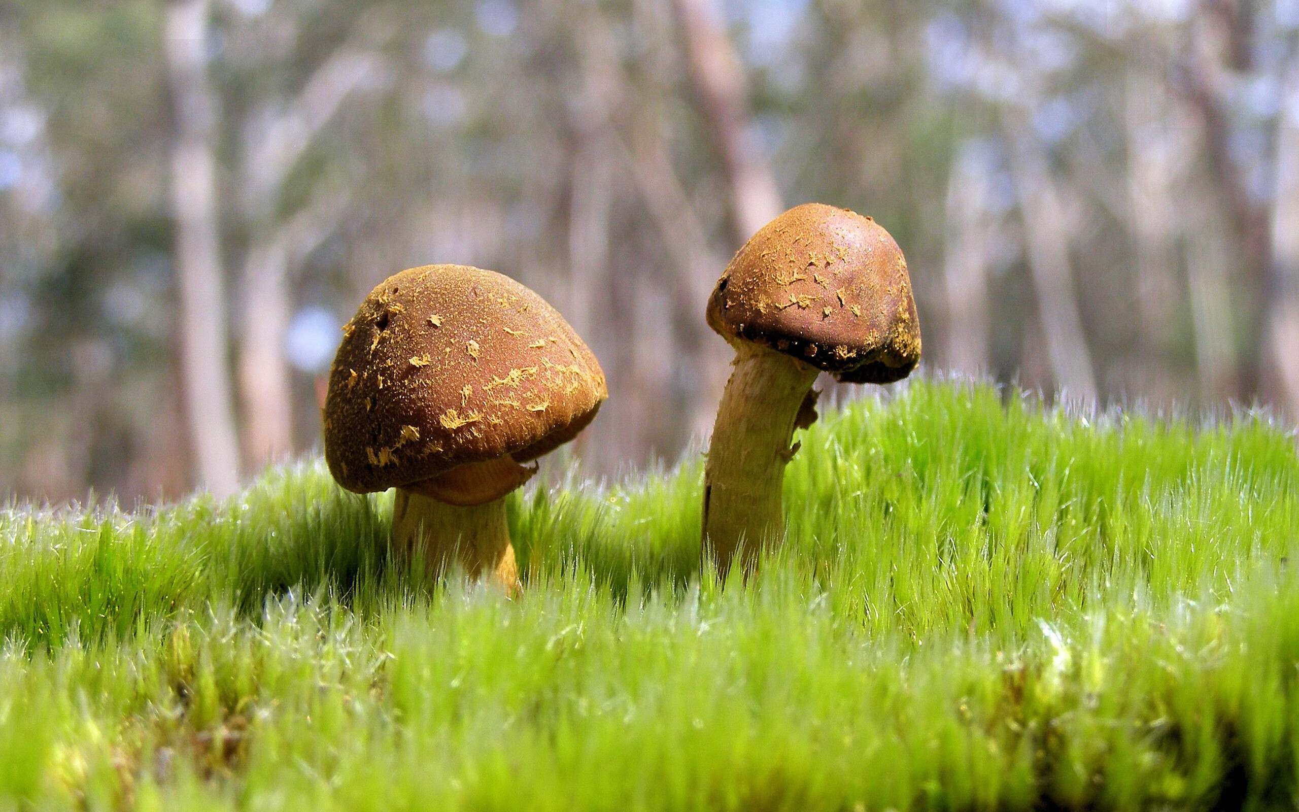 爱游戏官方-马竞铁链绞杀非洲野性，坎特在文明与狂野的裂痕中接管战争