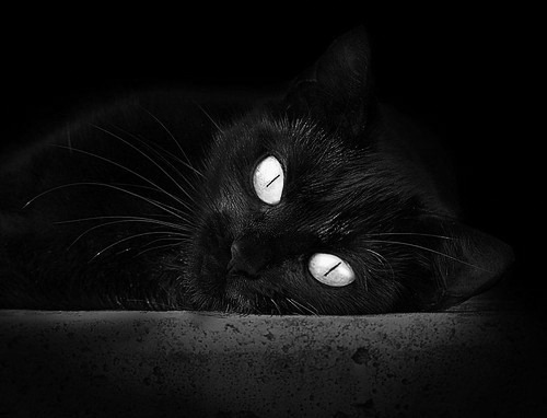 突尼斯阿劳霍，加时赛的冷血杀手