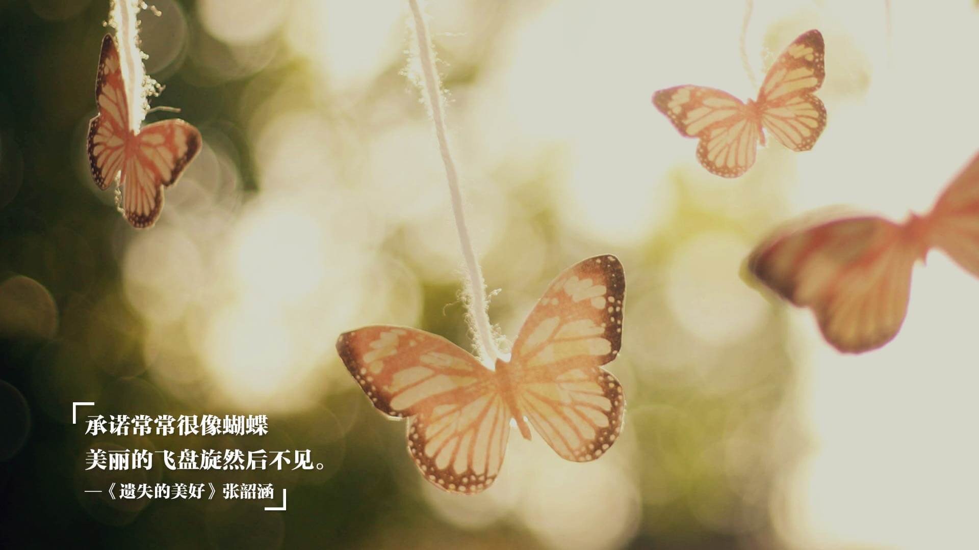 东西方篮球的华丽交响,布克撕裂式进攻引领凯尔特人险胜广东队