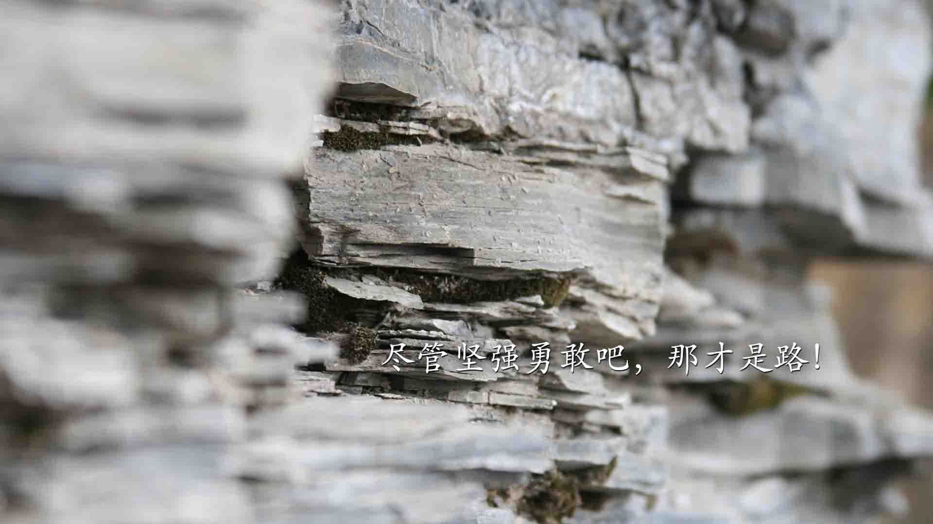 爱游戏官方-钢铁防线，从NBA总决赛到加纳封锁埃及的地缘博弈