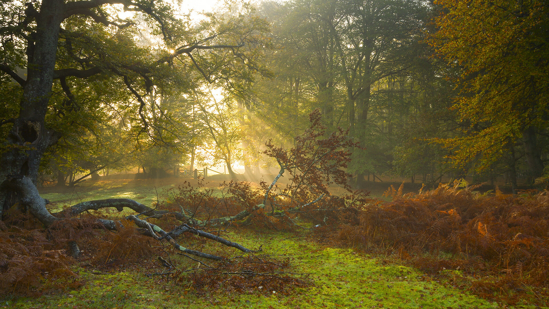 他的背影让世界杯沉默，当詹姆斯完成封印之战