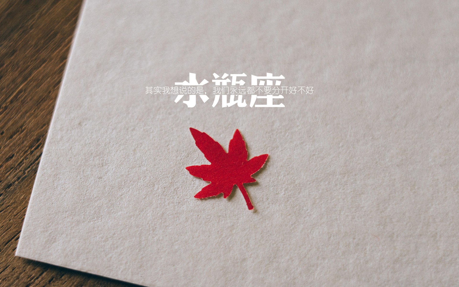 孤独的50分，当布伦森的狂欢成为辽宁体系的完美注脚