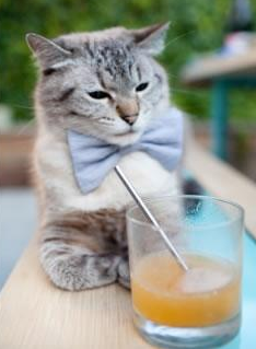 关键先生爱德华兹闪耀，尼克斯狂胜老鹰迎大捷