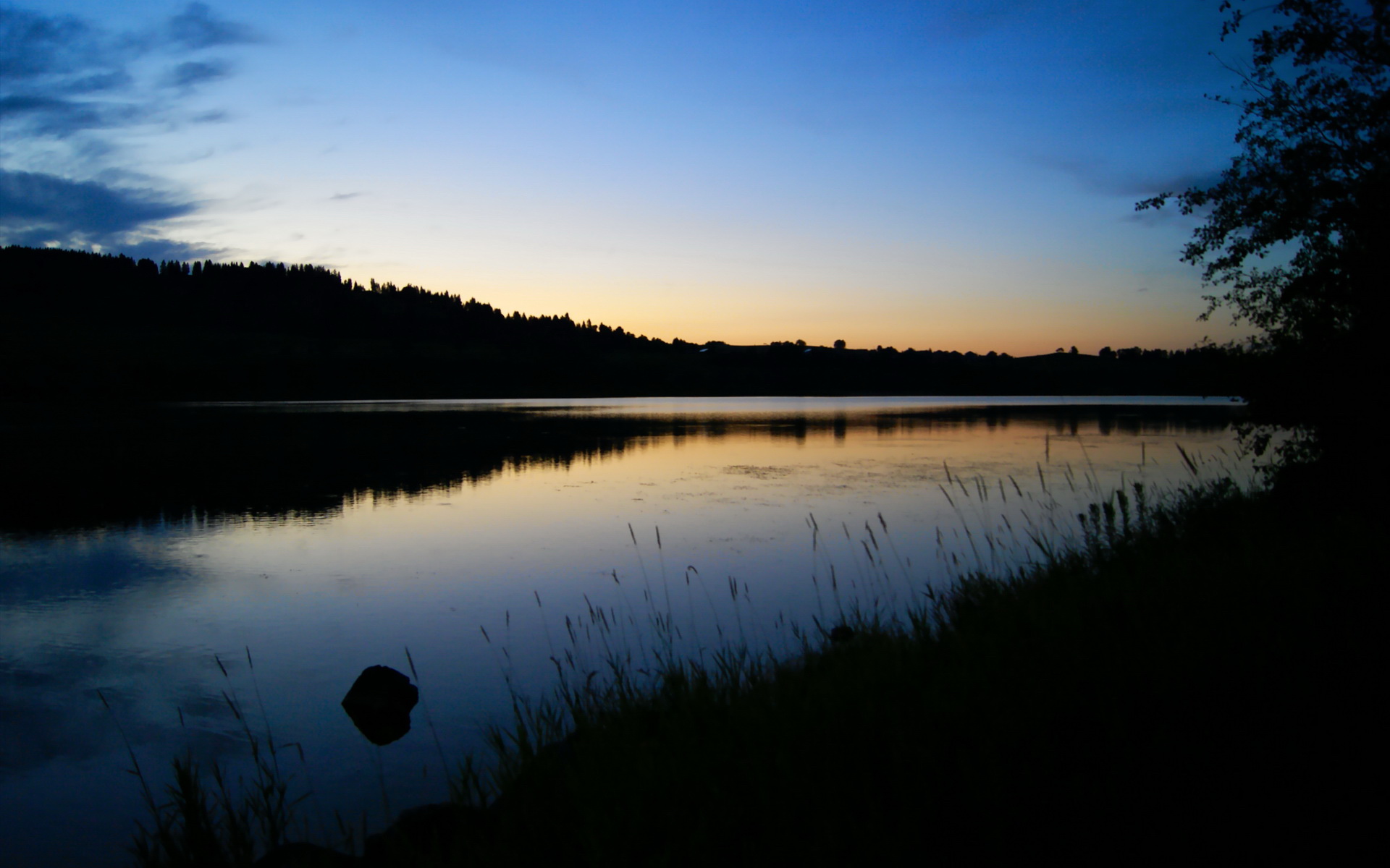爱游戏体育-蒂亚戈的唯一性，记一次让对手迷失的欧冠淘汰赛之夜