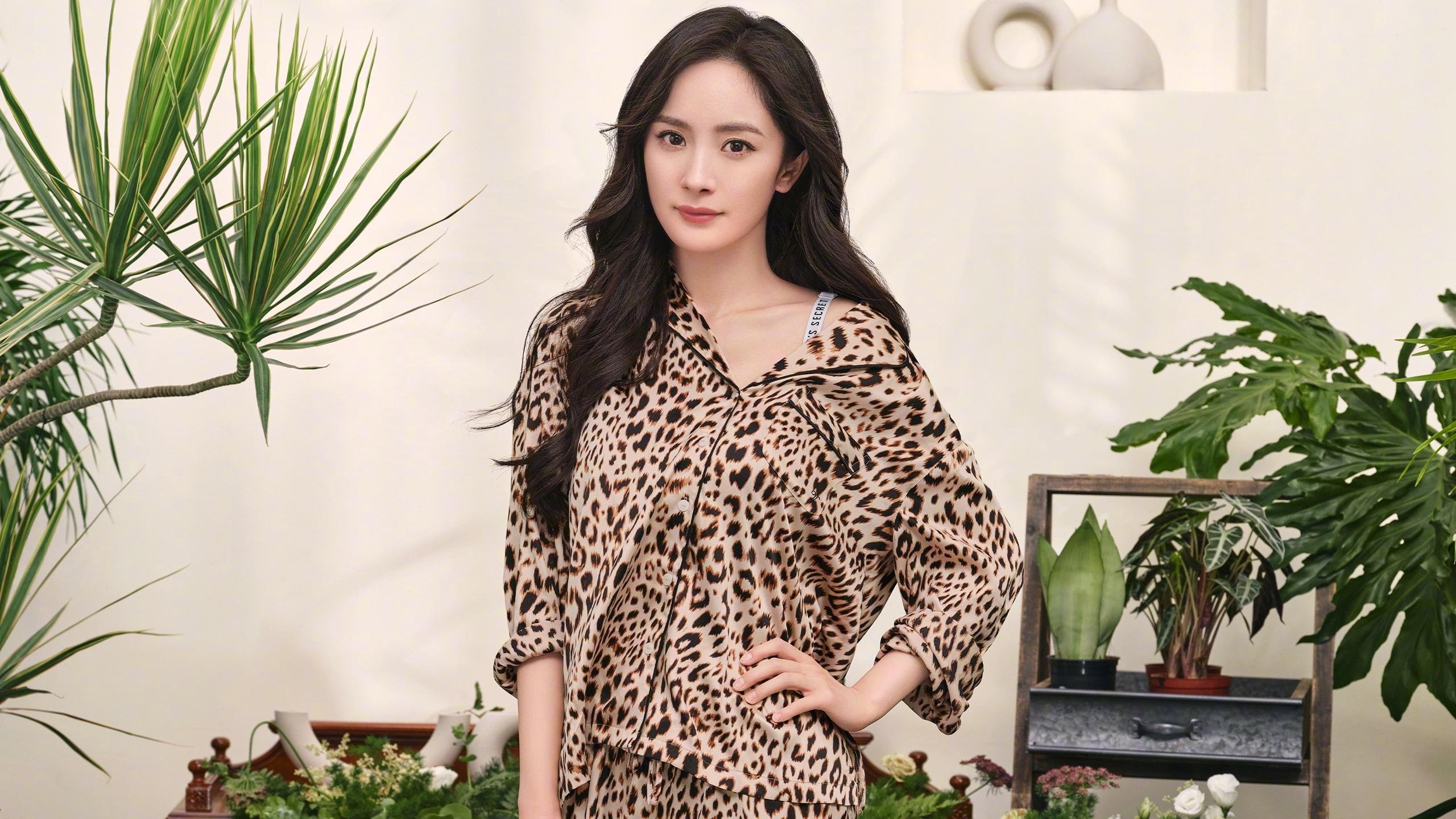 铁血防线与绝世锋芒，团队篮球与超级巨星的胜利方程式