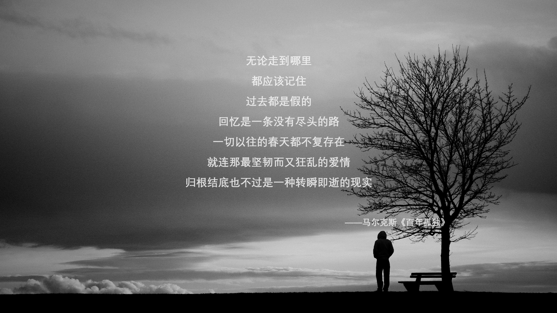 暗夜中的光，2026世界杯D组，厄瓜多尔绝杀葡萄牙，福登的孤独光芒照亮了一个时代的黄昏