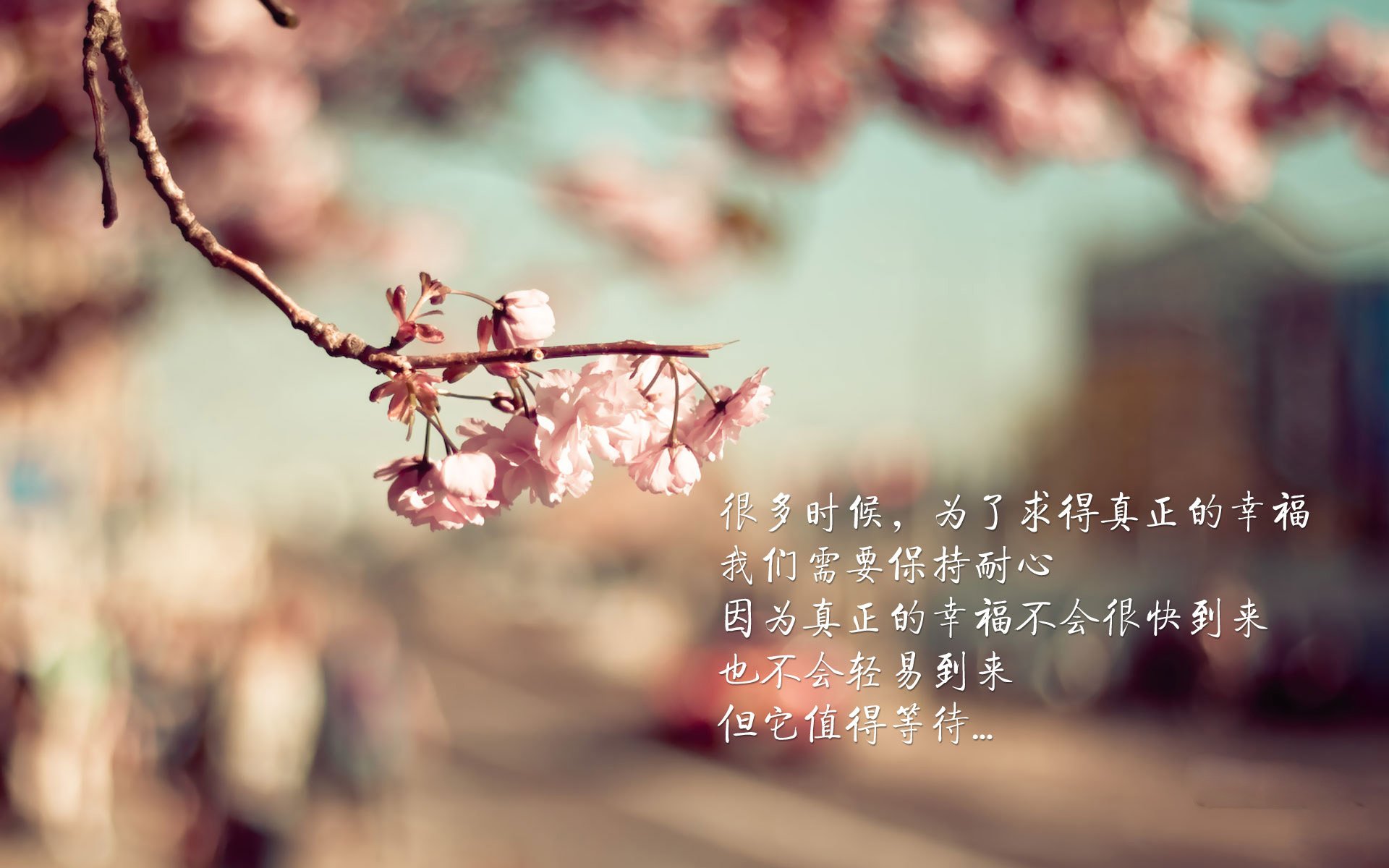 孤胆英雄福登，2026世界杯B组一战定乾坤，波兰遭伊朗全场压制