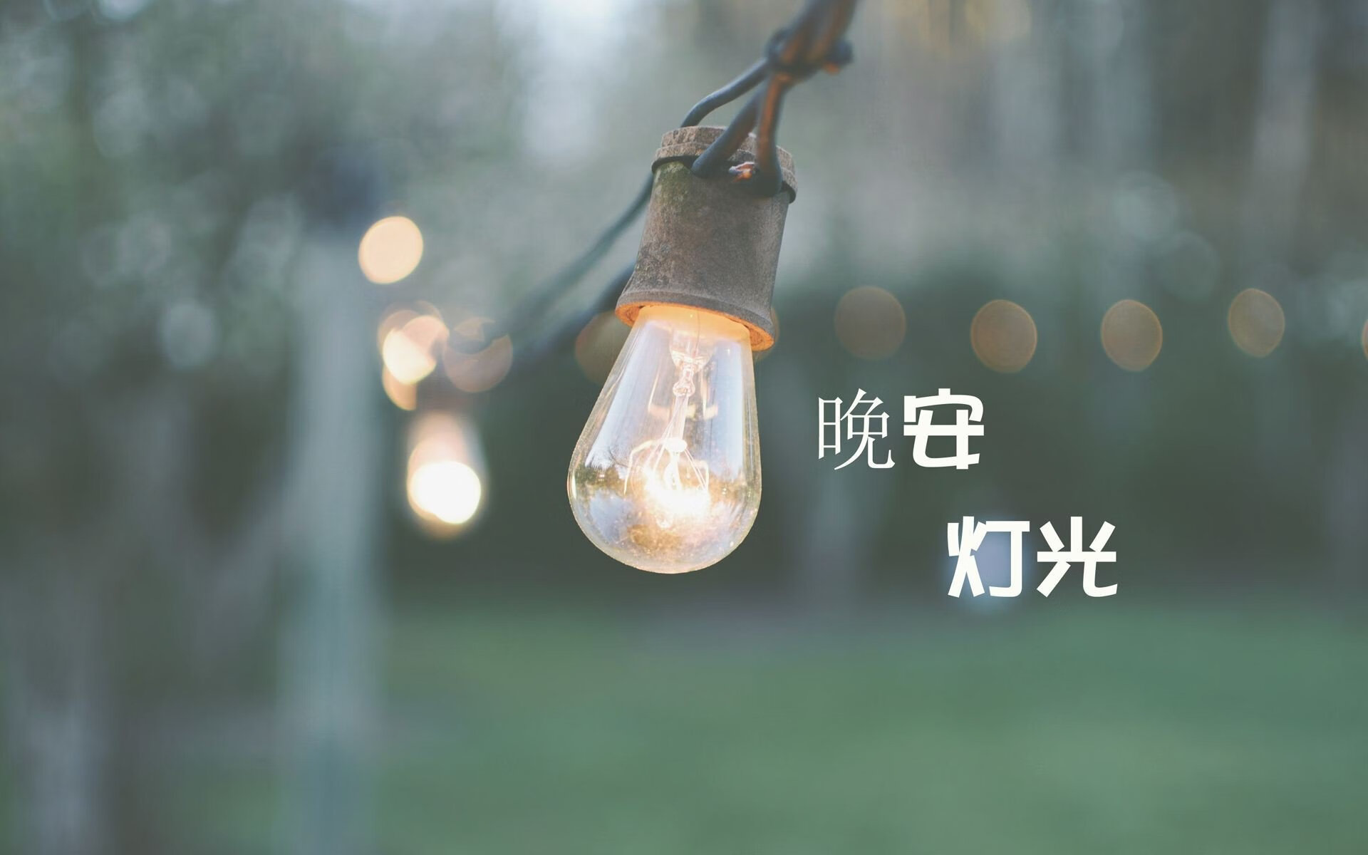 唯一性的瞬间，布罗佐维奇的致命一击，巴西横扫斯洛伐克背后的防守哲学